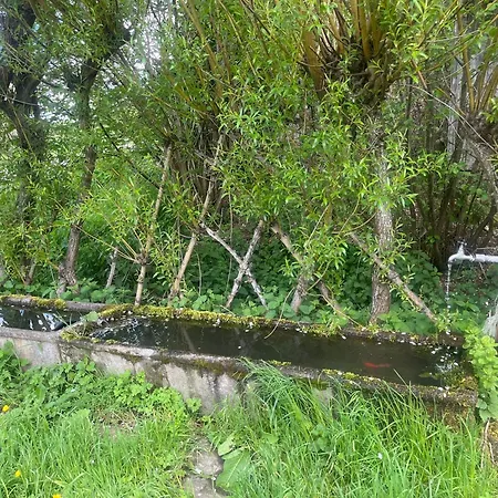 Du Redondet منزل ريفي Cisternes-la-Foret