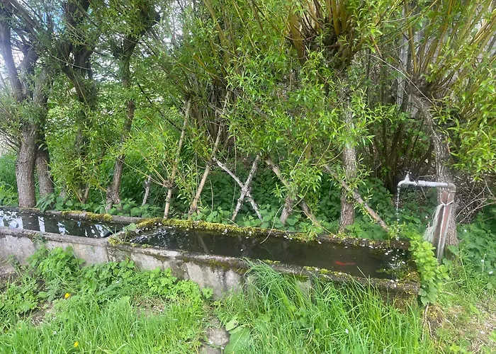 Taiga Aventure Gospodarstwo wiejskie Cisternes-la-Foret